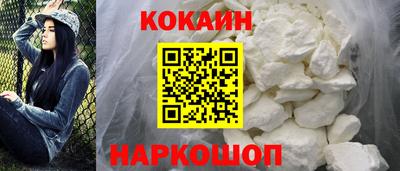 гашик Будённовск