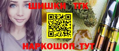 гашик Будённовск