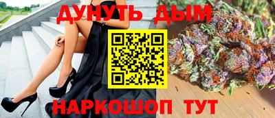 гашик Будённовск