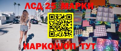 гашик Будённовск