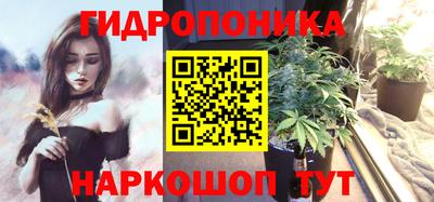 гашик Будённовск